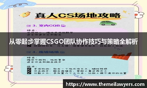 从零起步掌握CSGO团队协作技巧与策略全解析