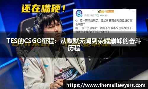 TES的CSGO征程：从默默无闻到荣耀巅峰的奋斗历程
