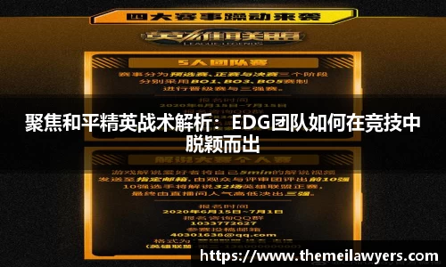 聚焦和平精英战术解析：EDG团队如何在竞技中脱颖而出