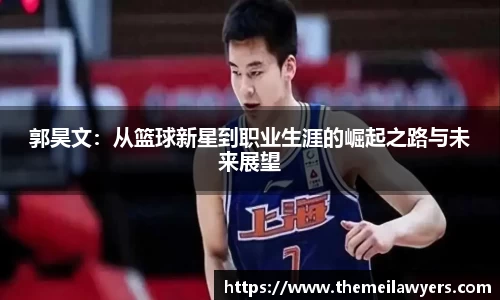 星空电子首页网站