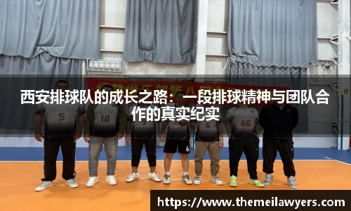 星空电子首页网站